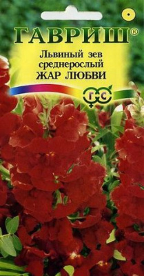 Львиный зев Жар любви* 0,1 г Н9 Гавриш