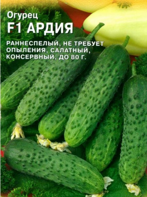 Рассада Огурец Ардия К54 -партенокарпический гибрид