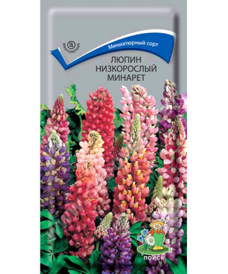 Люпин низкорослый, Минарет 1 гр ПО