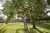Высокорез StartCut 160 plus 12000-20 Gardena Высокорез StartCut 160 plus 12000-20 Gardena