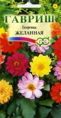 Георгина Желанная смесь 0.3 г Н9 Гавриш