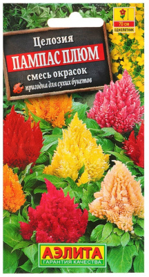 Целозия перистая Пампас Плюм Аэлита