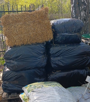 Солома в тюках Солома пшеничная 12-13 кг тюк 80*55*40 в полиэтиленовой упаковке купить в Дмитрове