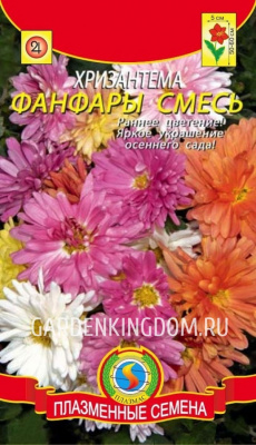 Хризантема индийская смесь 20 шт ПЗ