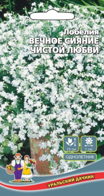 Лобелия Вечное сияние чистой любви Уральский дачник