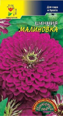 Цинния Малиновка Цветущий сад