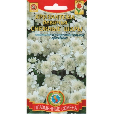 Хризантема девичья Снежные шары 0,1 гр ПЗ