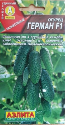 Огурец Герман Аэлита