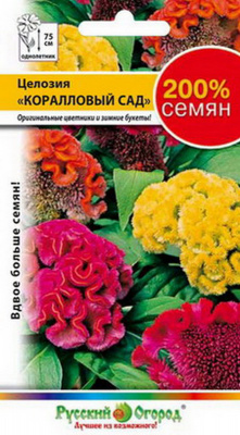 Целозия Коралловый сад Русский огород