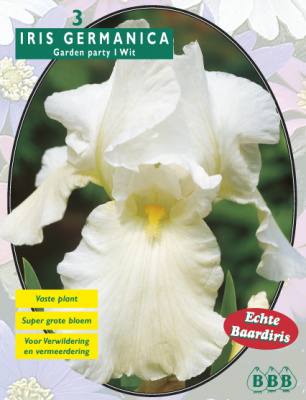 Ирис Iris Germanica, Wit per 3