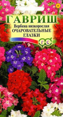 Вербена гибридная Очаровательные Глазки Гавриш