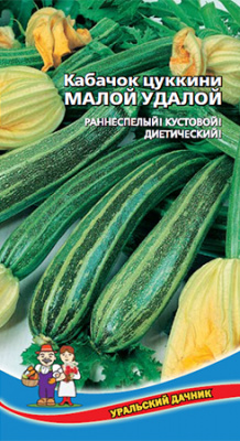 Кабачок цуккини Малой Удалой