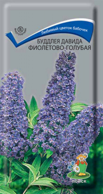 Буддлея Давида Фиолетово-голубая  (ЦВ) (