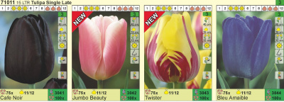Тюльпаны ПРОСТЫЕ ПОЗДНИЕ Tulips Single Late 11-12 HBM 71011